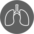 lungs icon